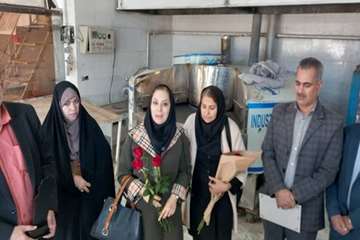 از پیشگامی نانوایی های منتخب در تولید نان کامل تقدیر شد